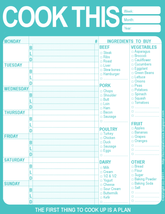 meal plan template word