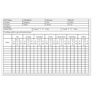 medical chart template r