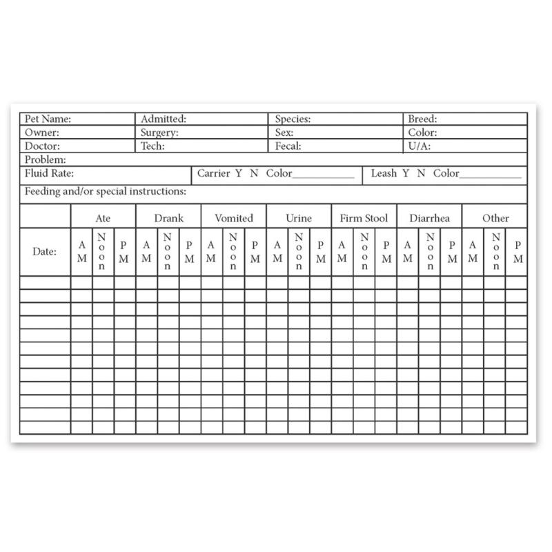 medical chart template