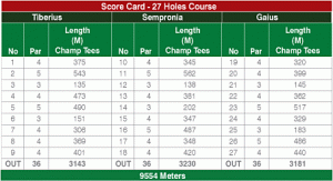mini golf scorecard cornelia score card