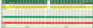 mini golf scorecard scan