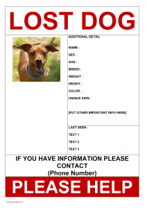 missing poster template missing dog poster