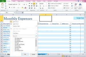 monthly budget worksheet excel screen shot
