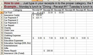 monthly expense spreadsheet family budget sheet monthly bill entry