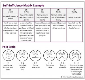 needs assessment example self sufficiency matrix