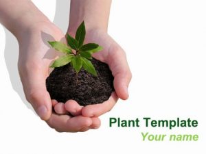 newspaper template powerpoint plant powerpoint template