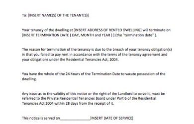 notice of termination example notice of termination