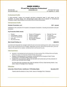 one page resume examples page resume templates one page resume examples for professional and entrepreneur profile with film experience