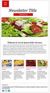 online newsletter templates restaurant newsletter