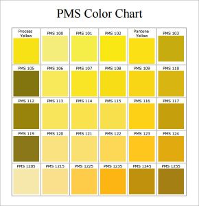 pantone color chart pdf pms color chart pdf