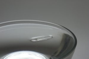 paper clip holder water surface tension