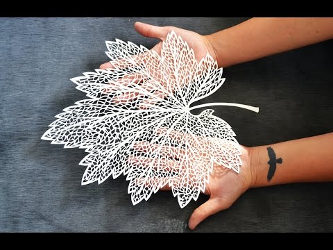 paper cuts patterns