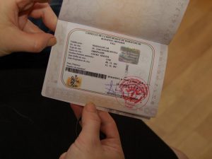 passport picture template visa template
