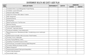 pay stub templates environment health safety audit plan