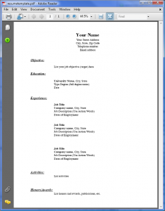 pdf resume template resumetemplate pdf