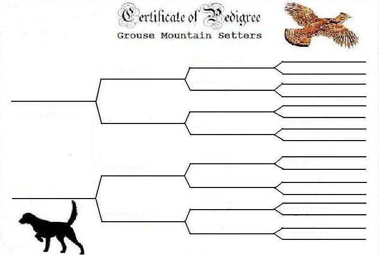 pedigree chart template
