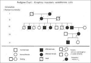 pedigree chart template ijdvl f