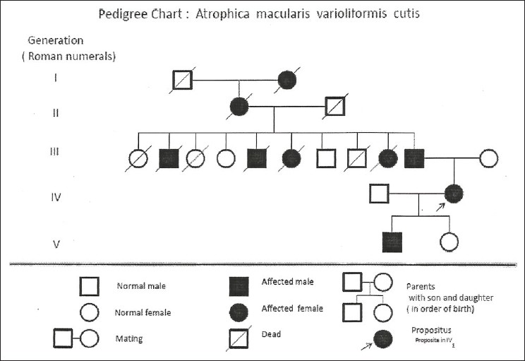 pedigree chart template