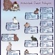 pedigree chart template netherland dwarf custom pedigree small