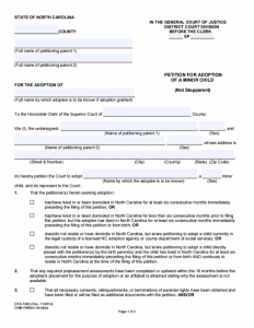 petition template word petition template adoption form e