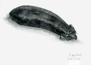 pics of drawing eggplant