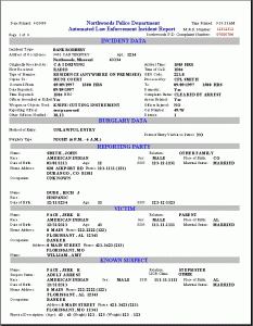 police report template page