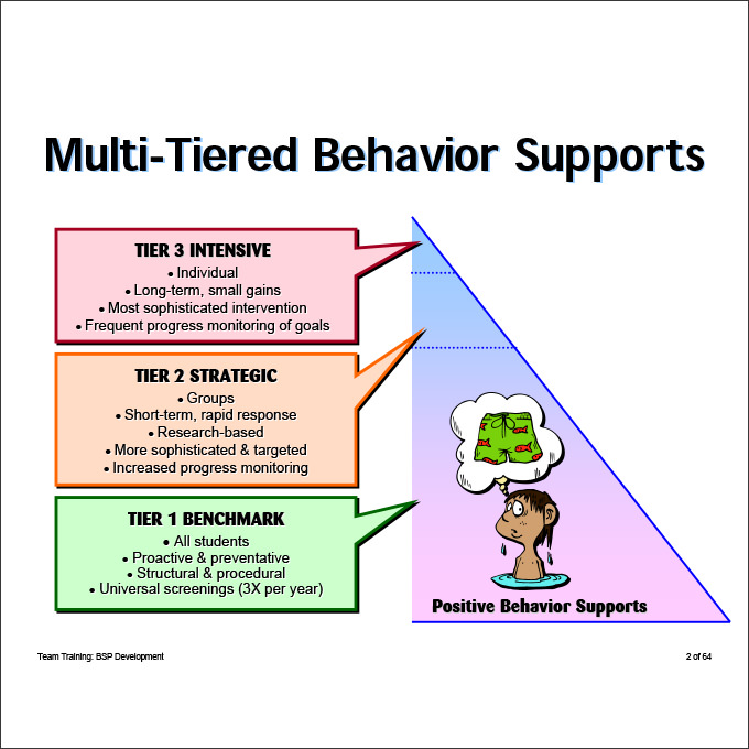 positive behavior support plan