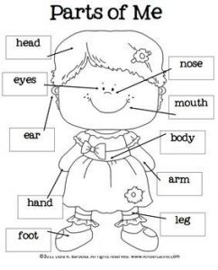 prek lesson plan templates dedffcfedaa body parts worksheet preschool parts of body preschool