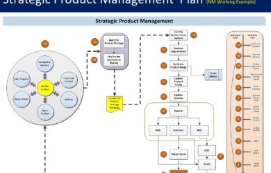 professional development plan sample product commercialization