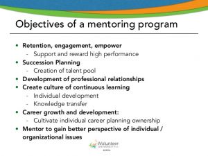 professional development plan samples introducing a volunteer mentoring program part i