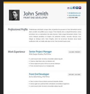 professional resume formats free download cv template