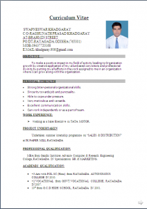 professional resume formats free download resume freshers format hlurvt
