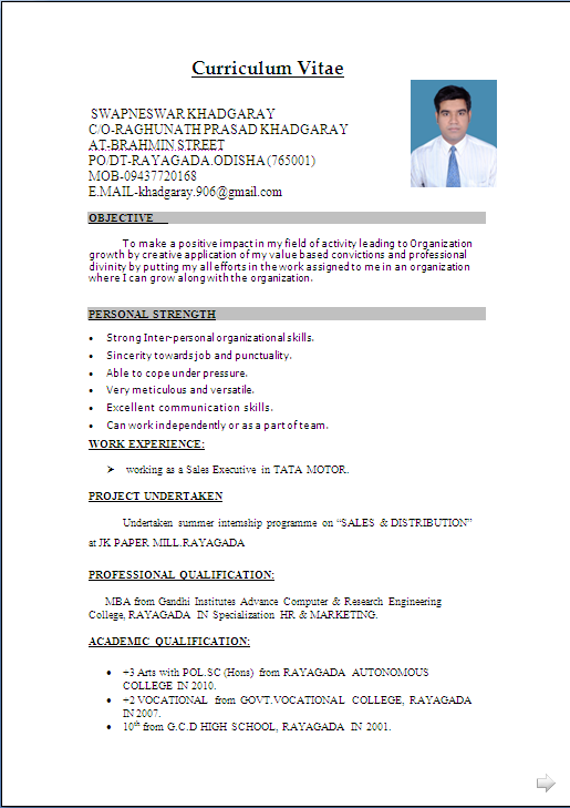 professional resume formats free download