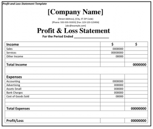 profit and loss form sample profit and loss statement