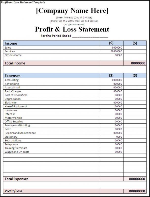 profit and loss statement form