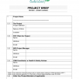 programme template word project brief sample d