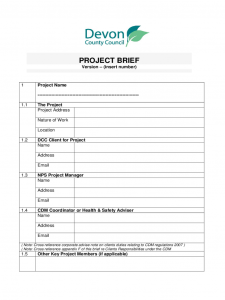 programme template word project brief sample d