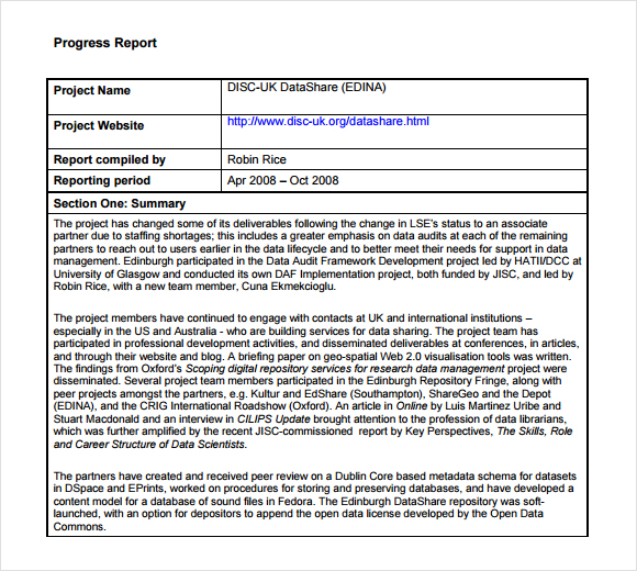 progress report example