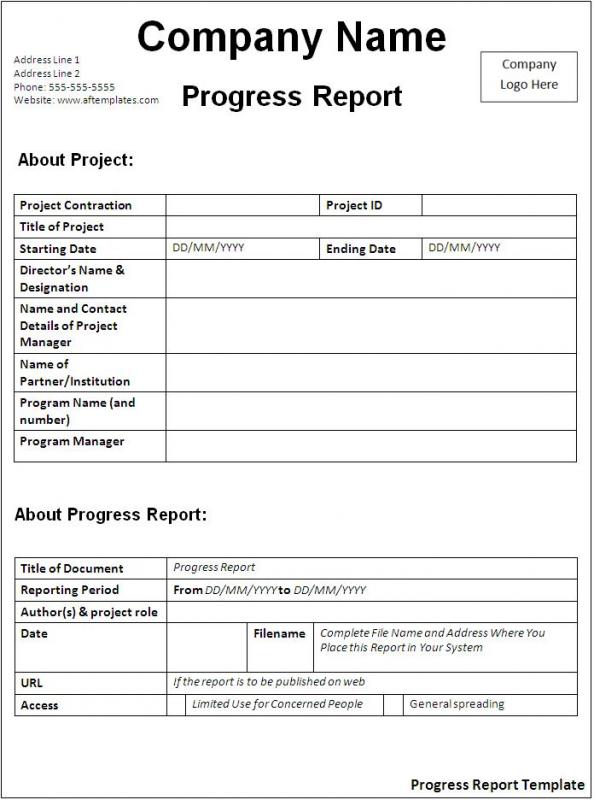 progress report example
