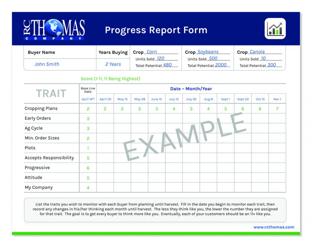 progress report template