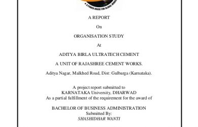 project report format aditya birla ultratech cement