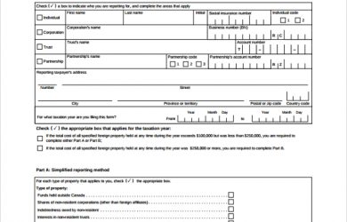 proof of income form foreign income verification form