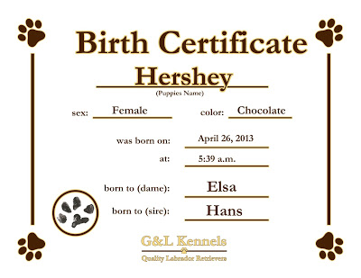 puppy birth certificate