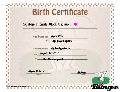 puppy birth certificates