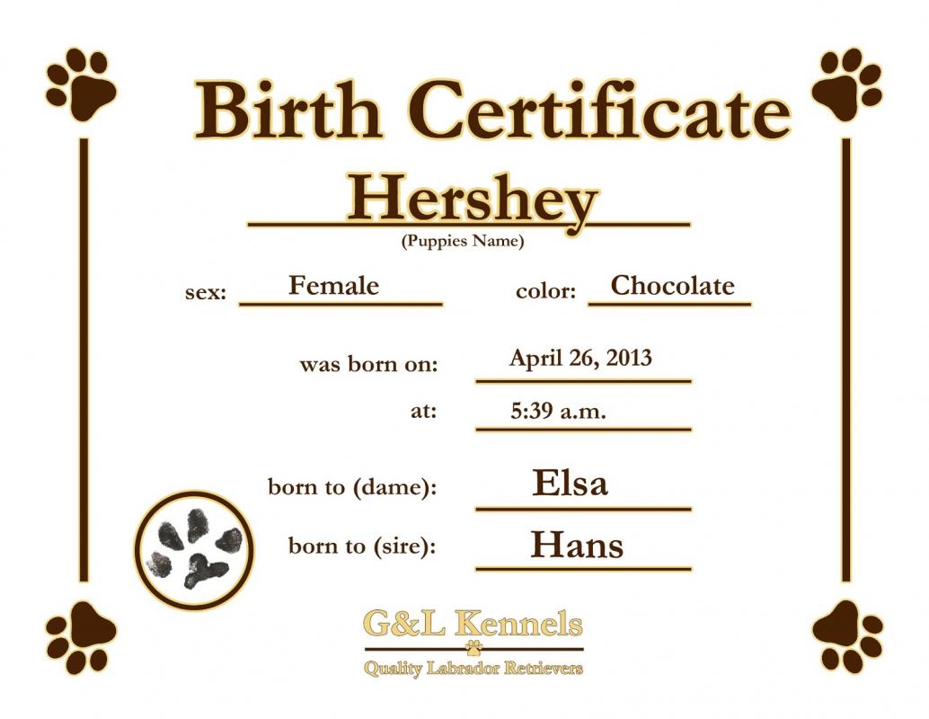 puppy birth certificates
