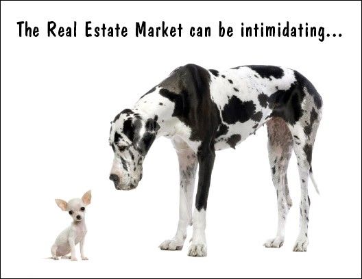 real estate marketing plan