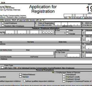 registration form sample bir form x