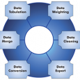 research report formats data tabulation services