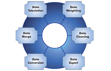 research report formats data tabulation services