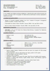 resume formats free professional resume formats ()